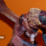creative beast raptor